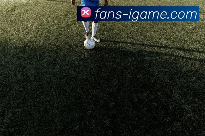 hth体育平台生态图